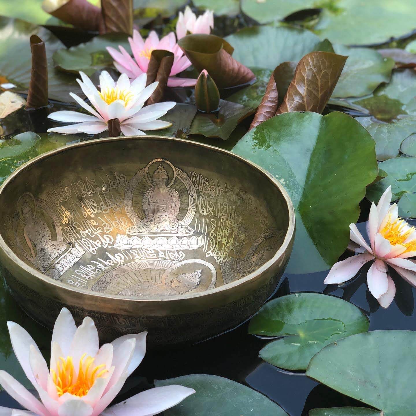 Vítejte v e-shopu webu uzasno.cz !